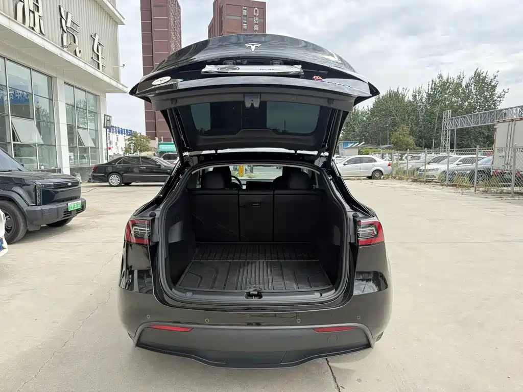 Tesla Model Y — фото 15