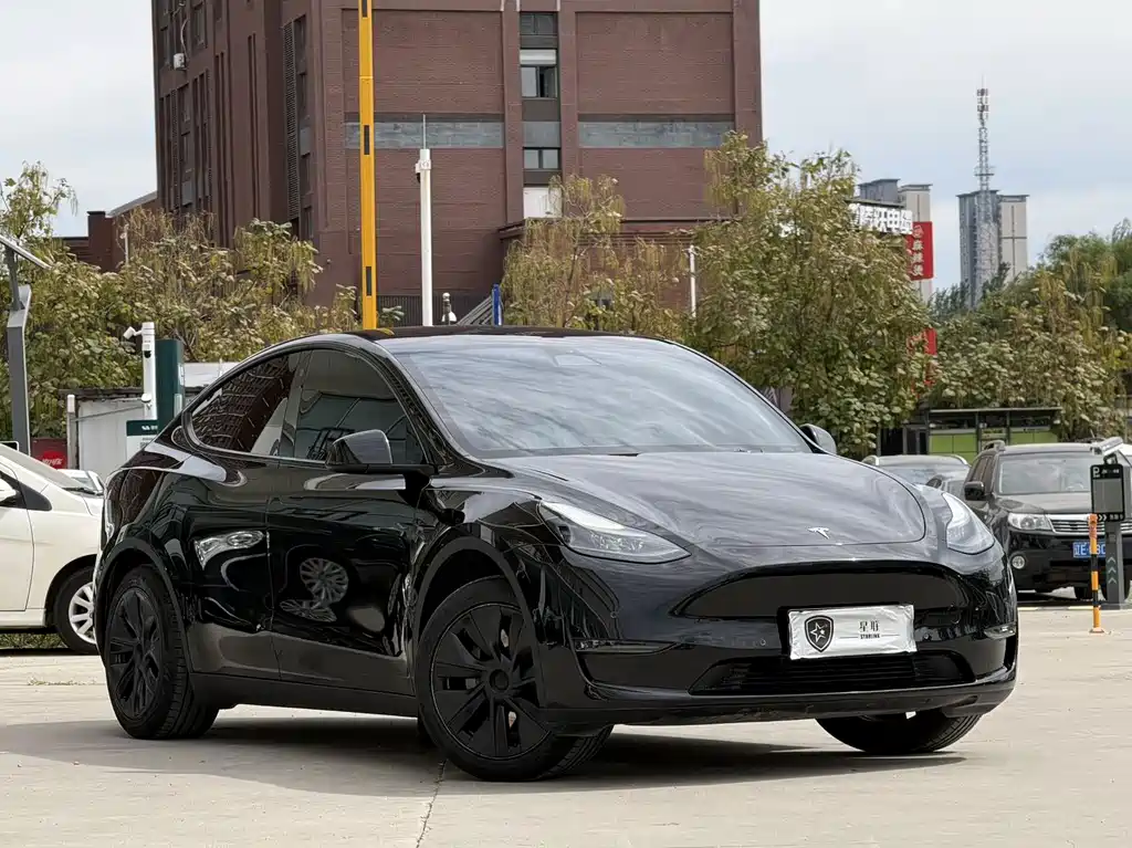 Tesla Model Y — фото 3