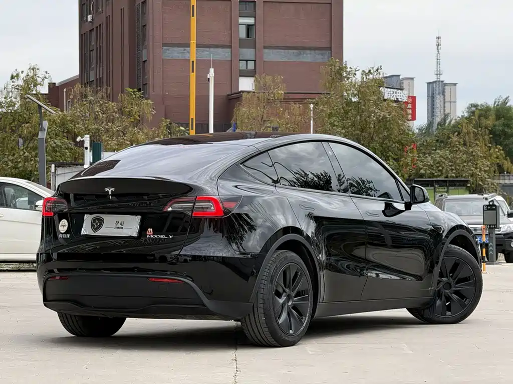 Tesla Model Y — фото 6