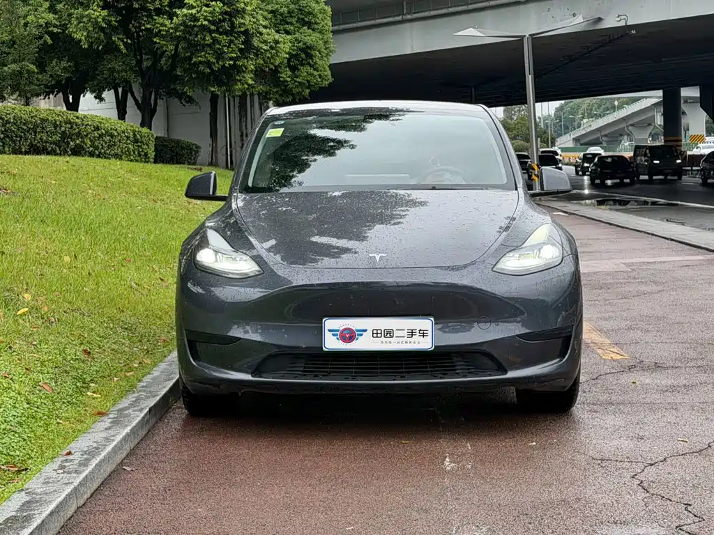 Tesla Model Y — фото 2