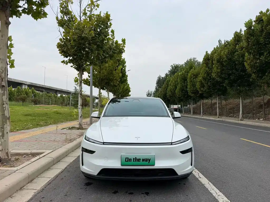 Tesla Model Y — фото 2