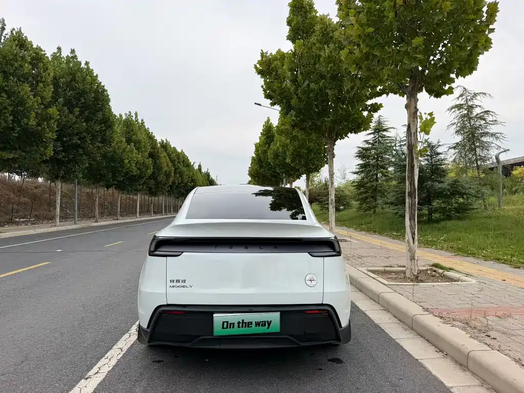 Tesla Model Y — фото 8