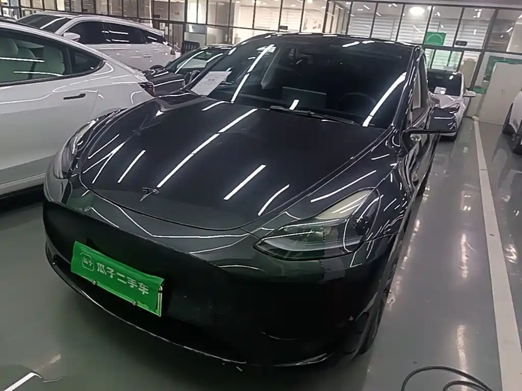 Tesla Model Y — фото 2