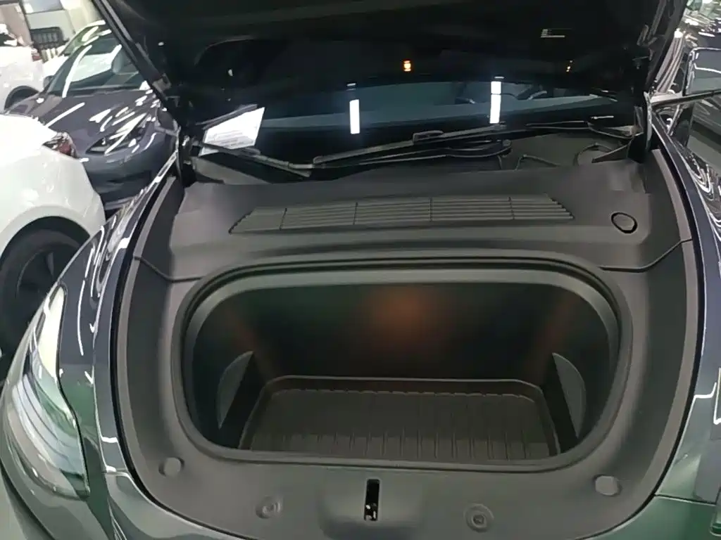 Tesla Model Y — фото 20