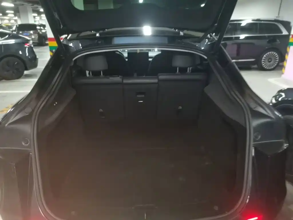 Tesla Model Y — фото 19