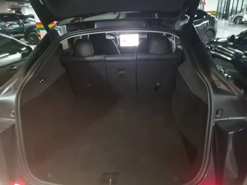 Tesla Model Y — фото 19