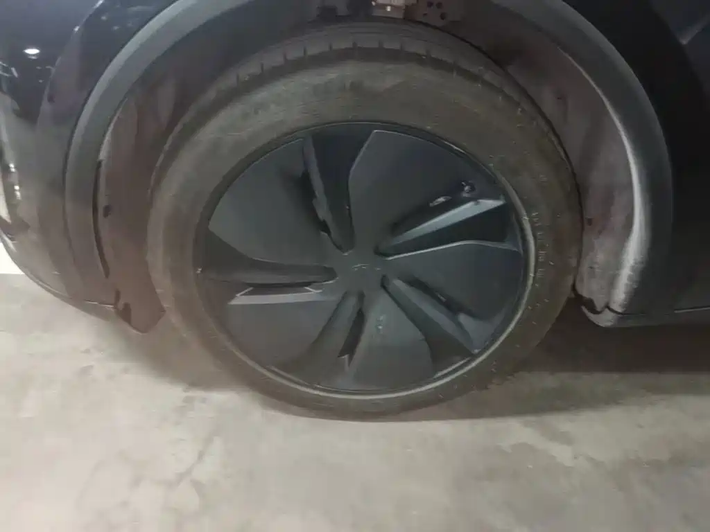 Tesla Model Y — фото 23