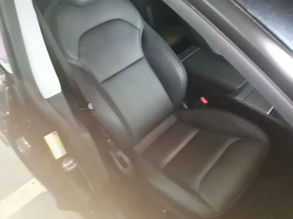 Tesla Model Y — фото 25