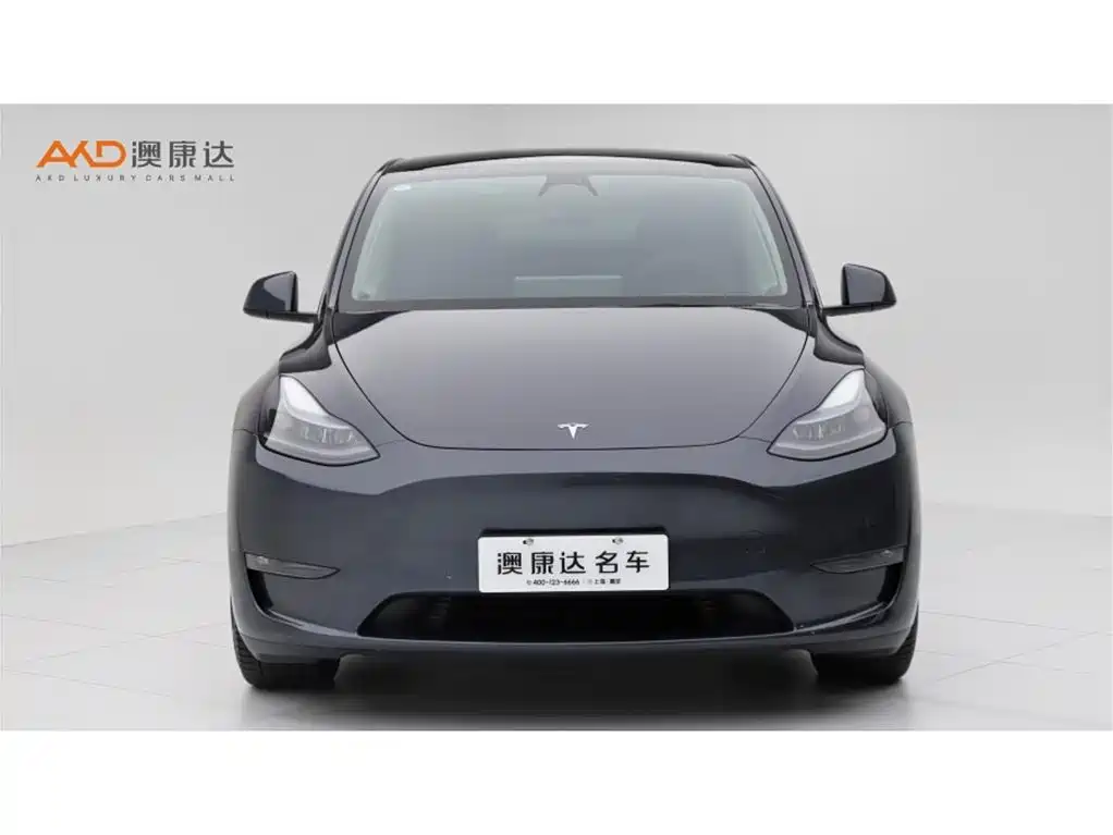 Tesla Model Y — фото 2