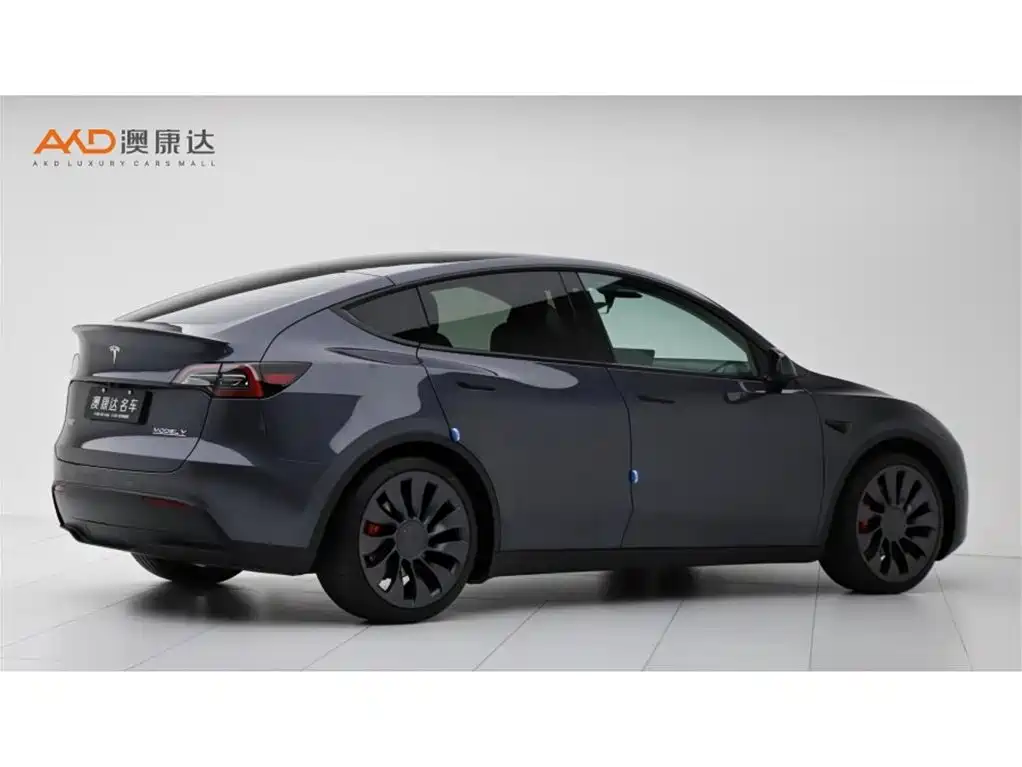 Tesla Model Y — фото 3