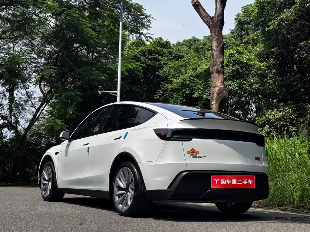Tesla Model Y — фото 3