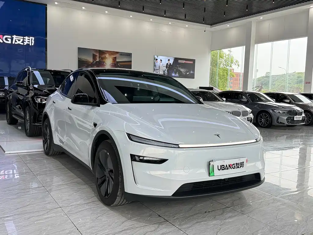 Tesla Model Y — фото 2