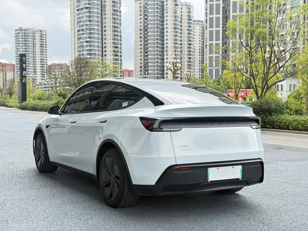 Tesla Model Y — фото 10