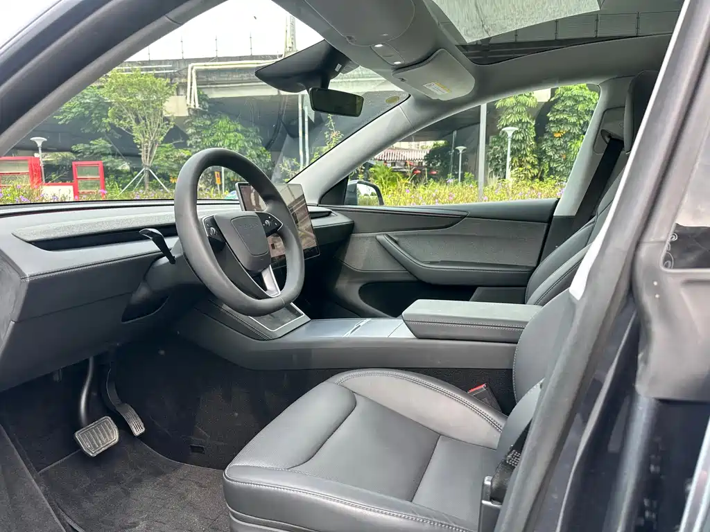 Tesla Model Y — фото 11