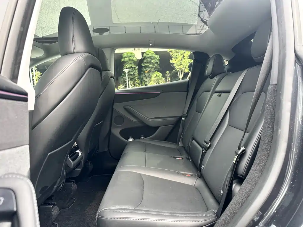 Tesla Model Y — фото 16