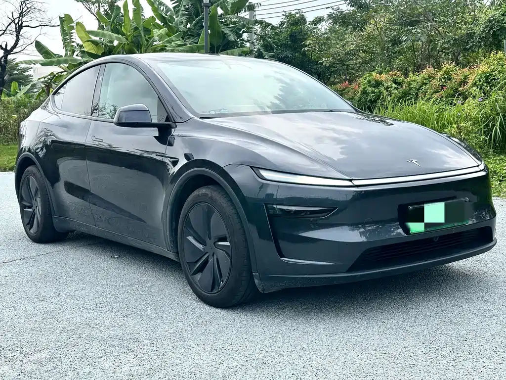 Tesla Model Y — фото 3