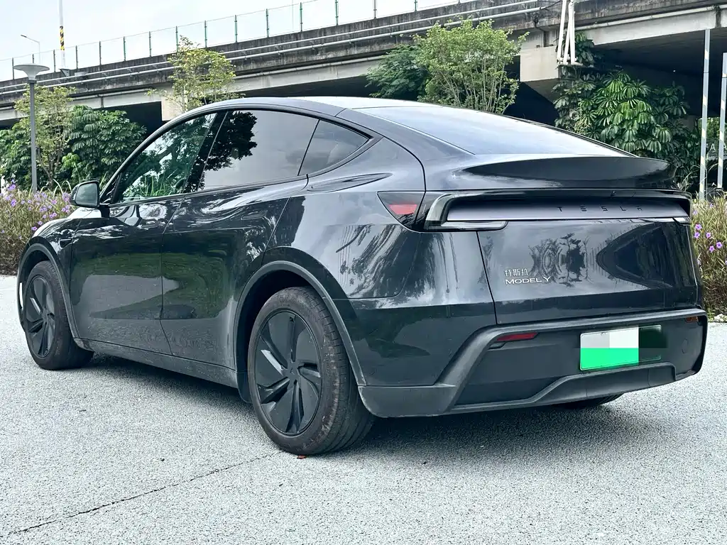 Tesla Model Y — фото 6
