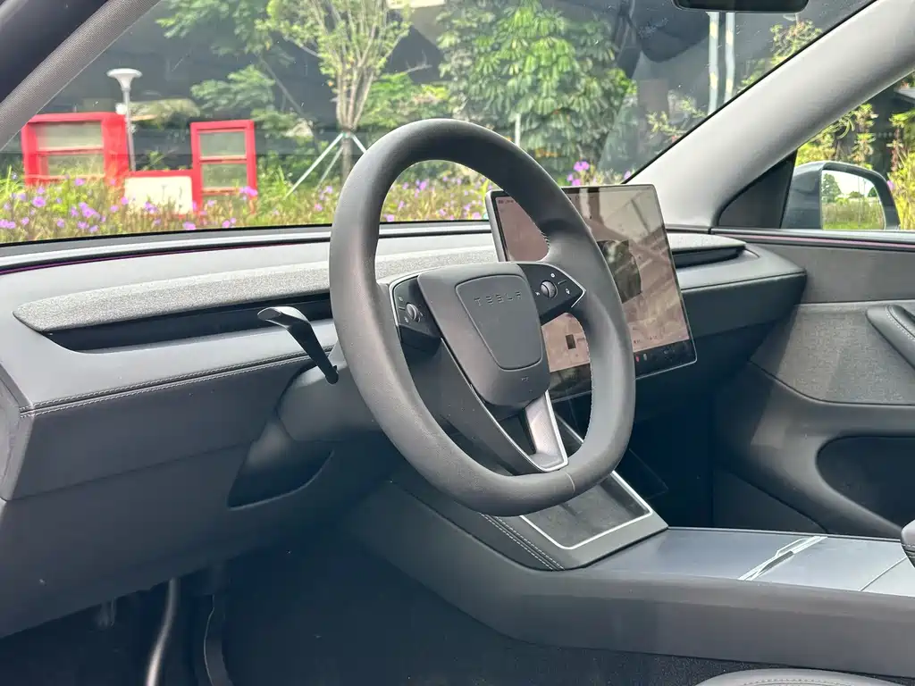 Tesla Model Y — фото 10
