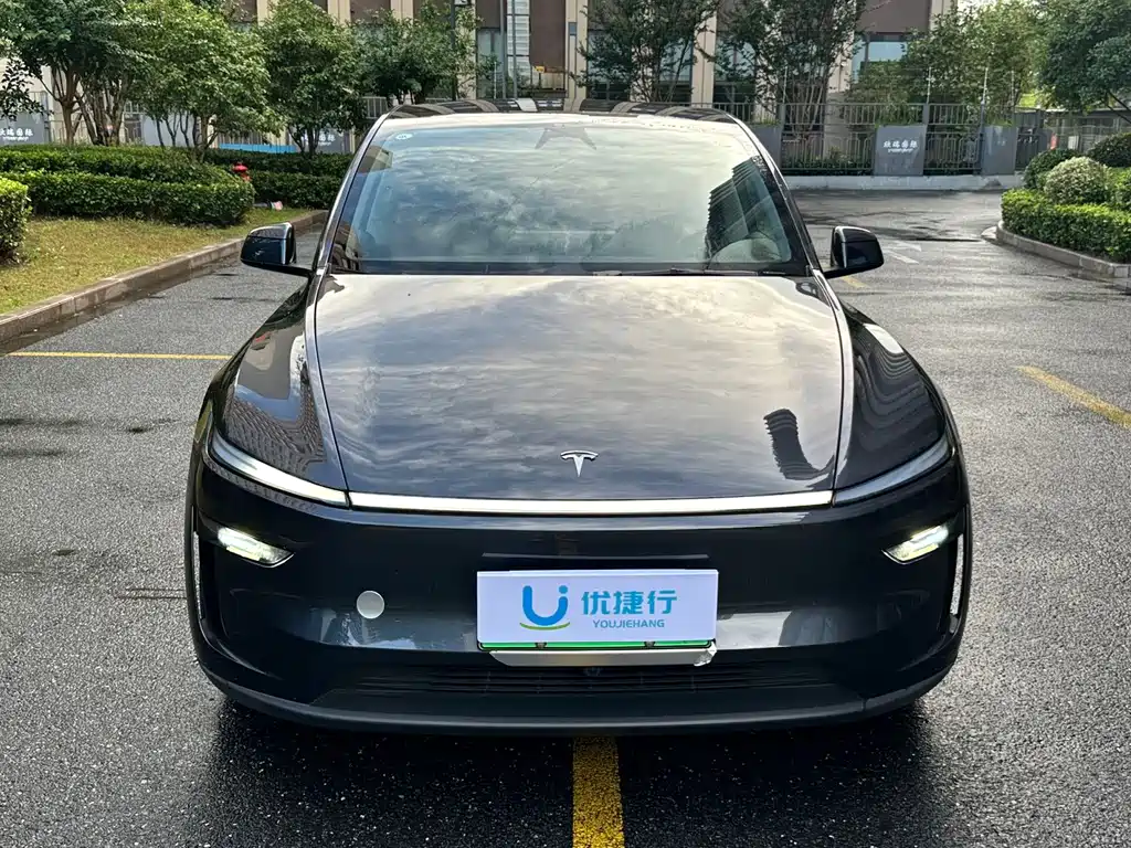 Tesla Model Y — фото 2