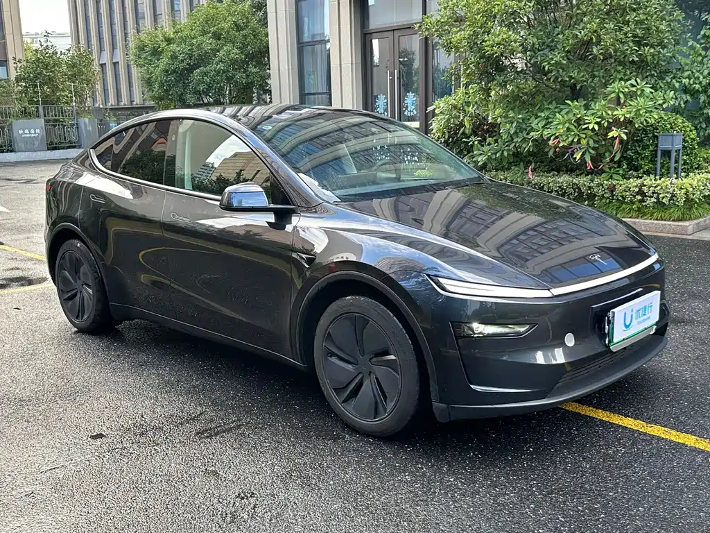 Tesla Model Y — фото 3