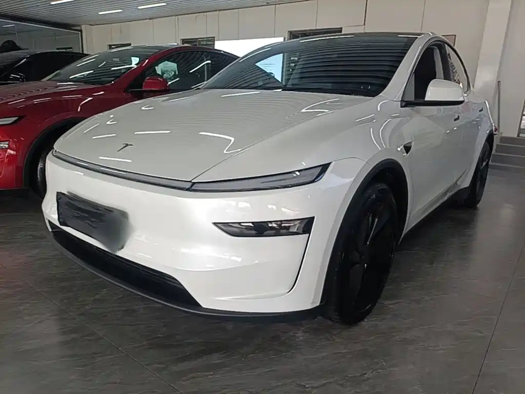 Tesla Model Y — фото 2