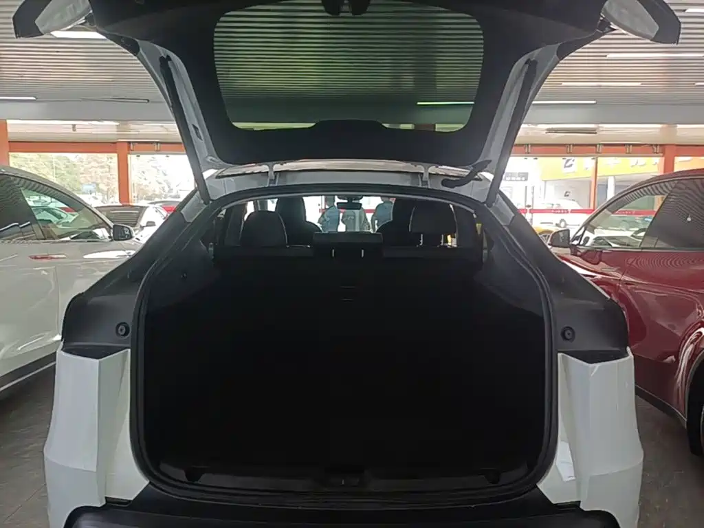 Tesla Model Y — фото 19