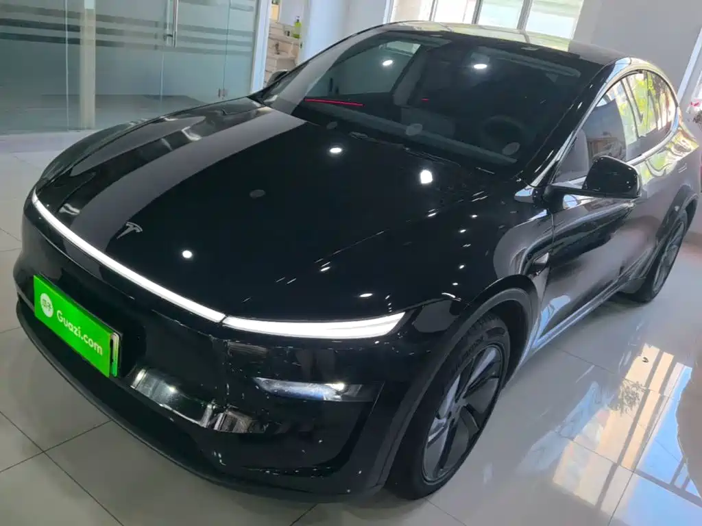 Tesla Model Y — фото 2