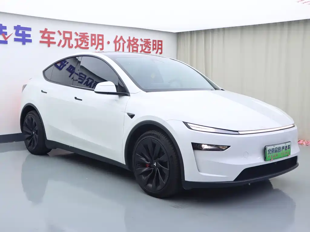Tesla Model Y — фото 2