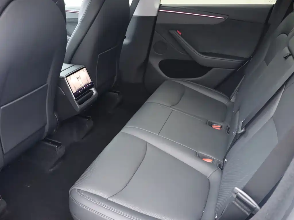 Tesla Model Y — фото 13