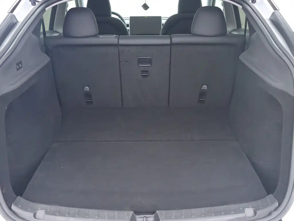Tesla Model Y — фото 19