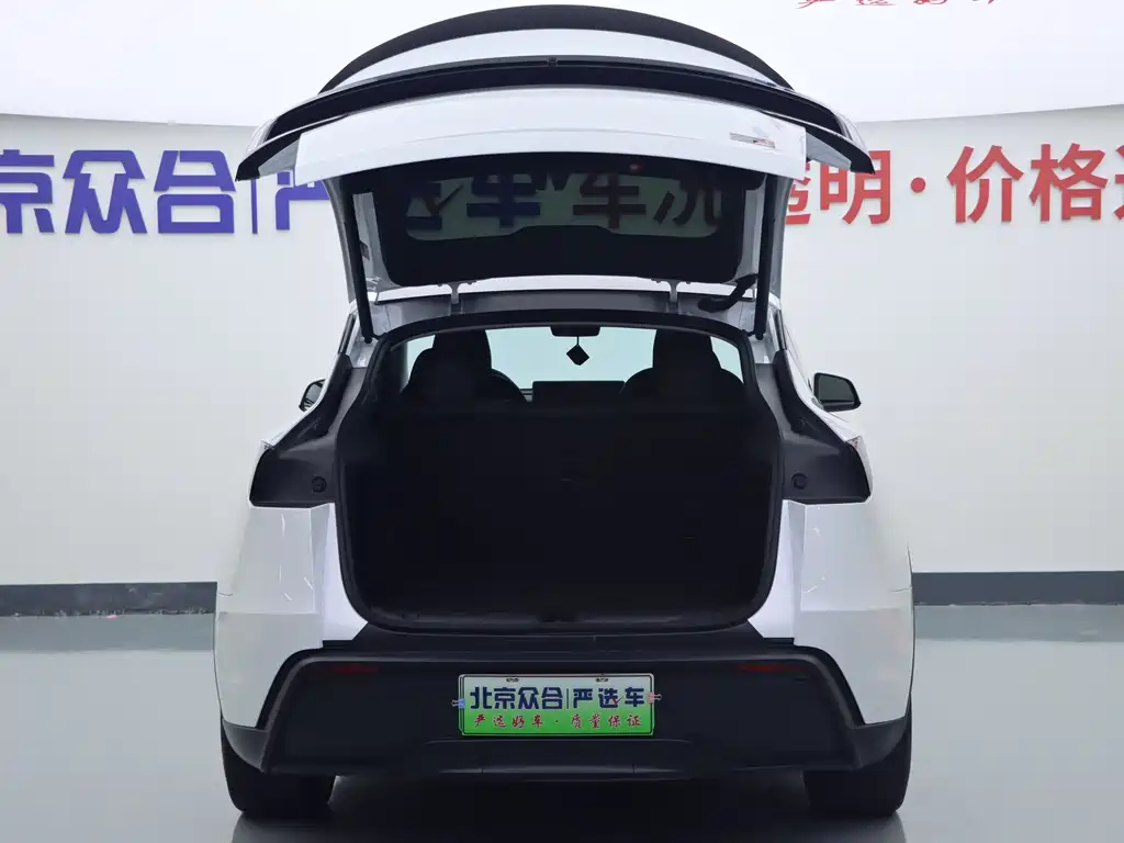 Tesla Model Y — фото 20