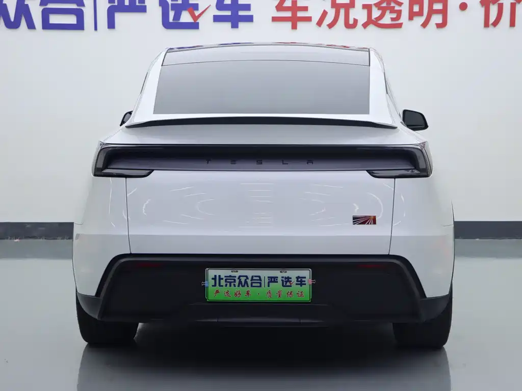 Tesla Model Y — фото 21