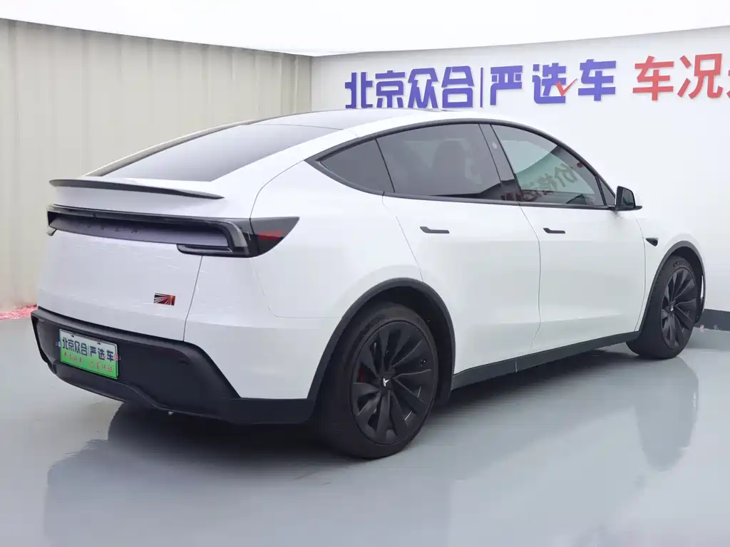 Tesla Model Y — фото 23
