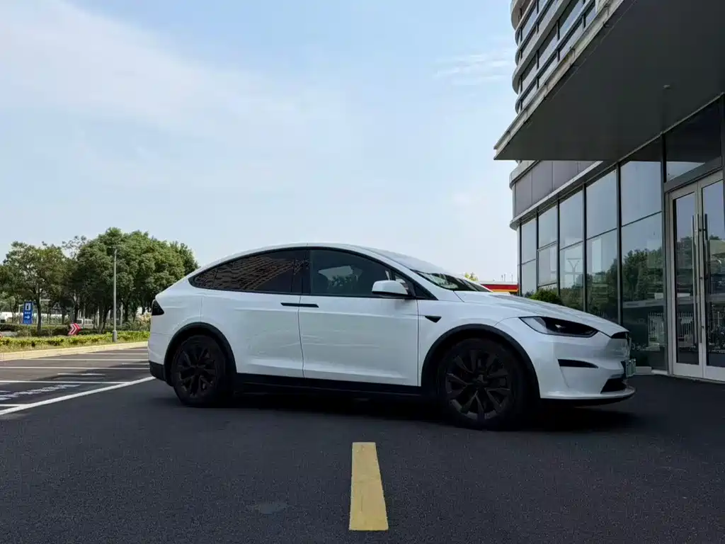 Tesla Model X — фото 3