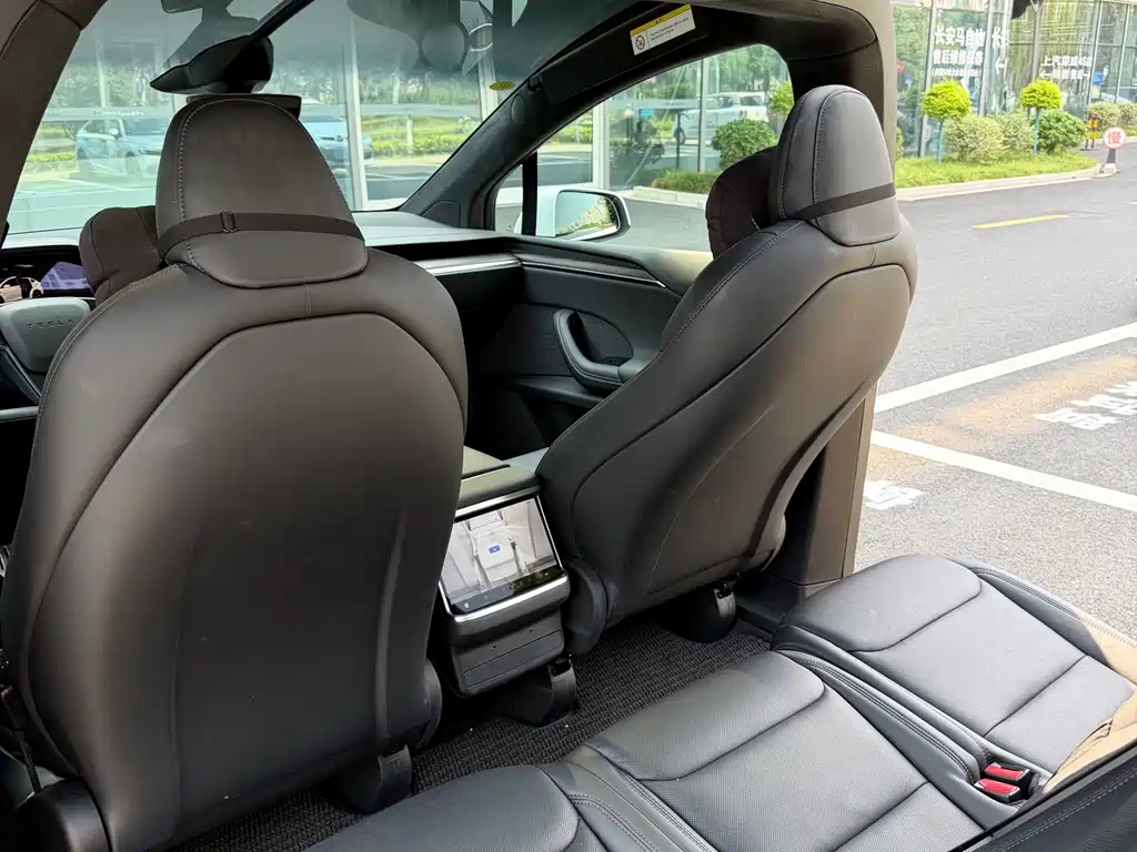 Tesla Model X — фото 8