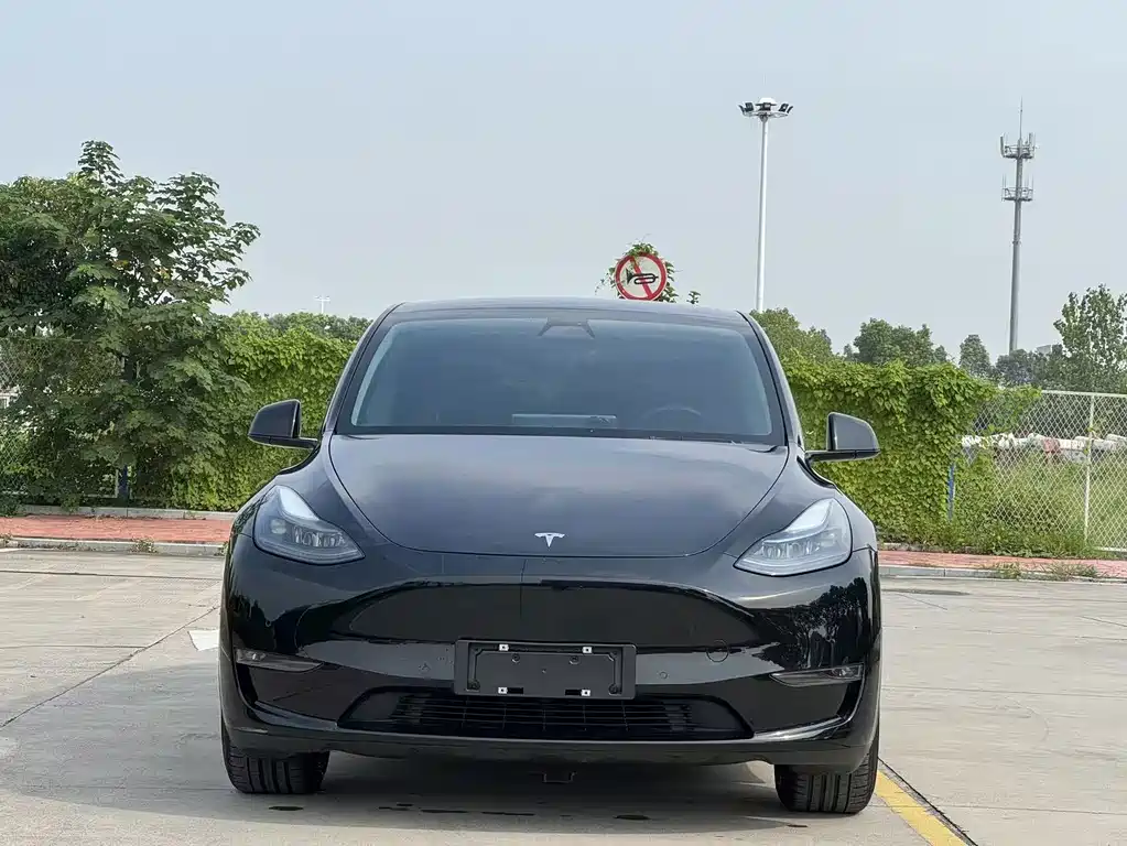 Tesla Model Y — фото 2