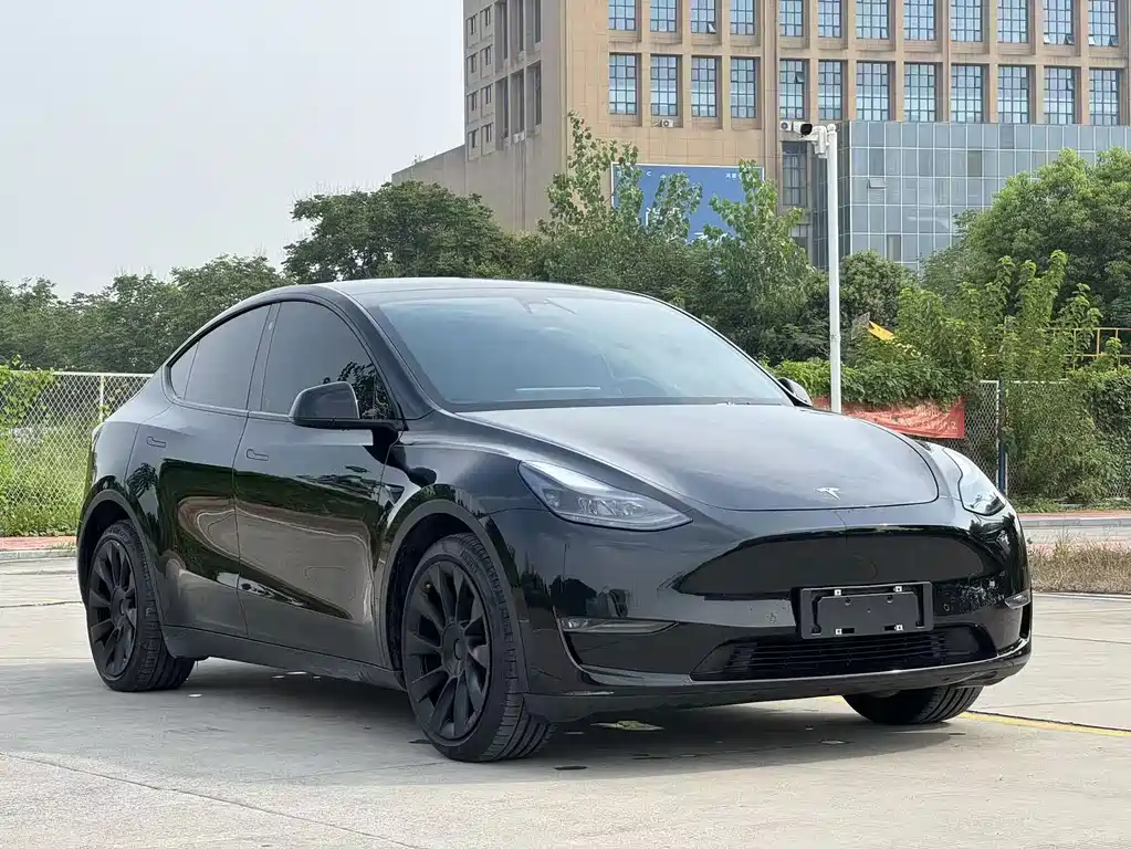 Tesla Model Y — фото 4