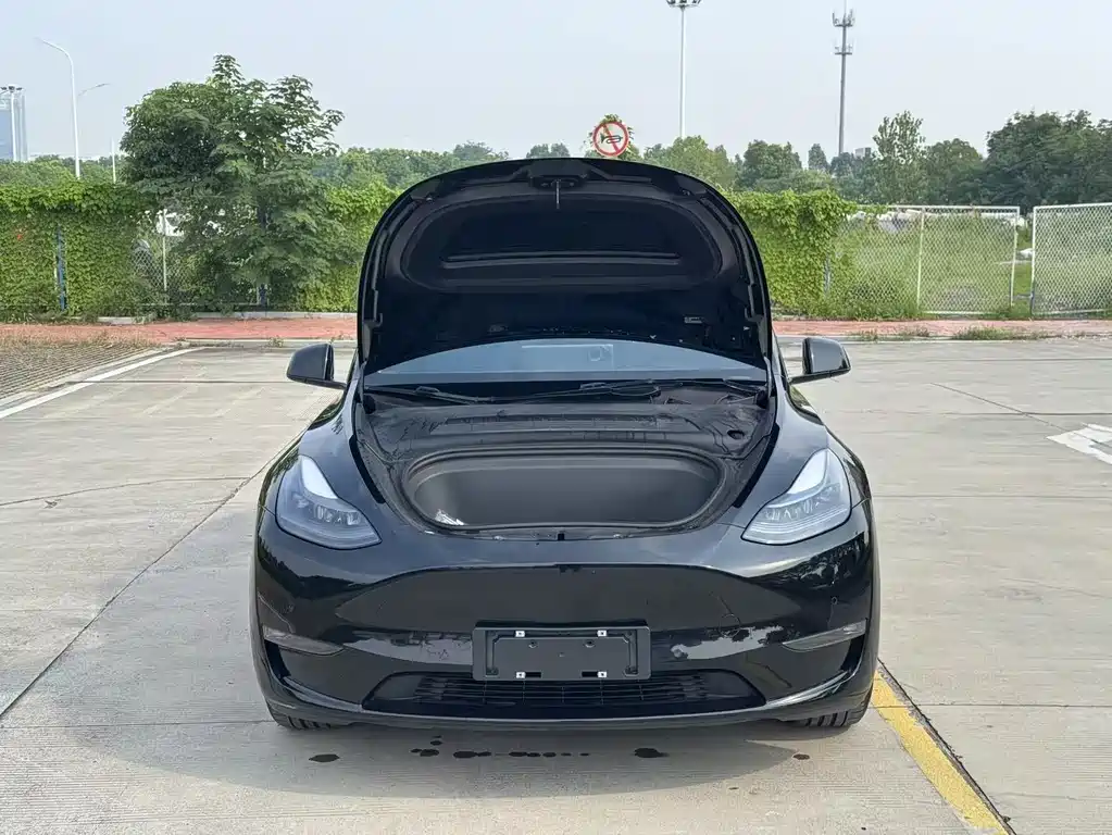 Tesla Model Y — фото 6