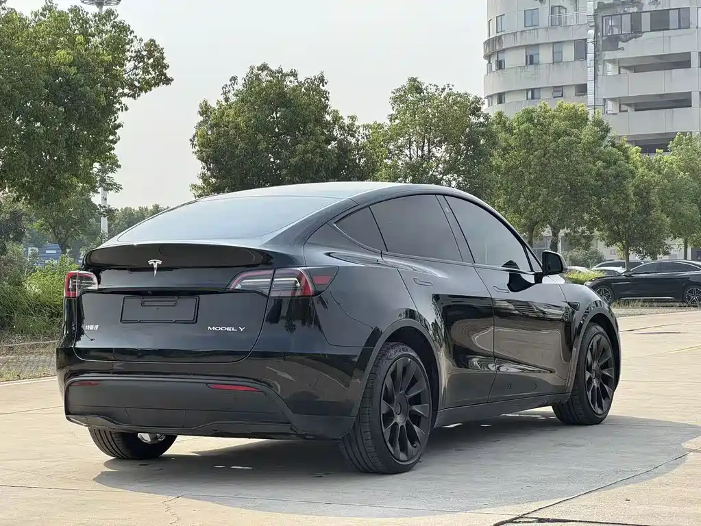 Tesla Model Y — фото 8