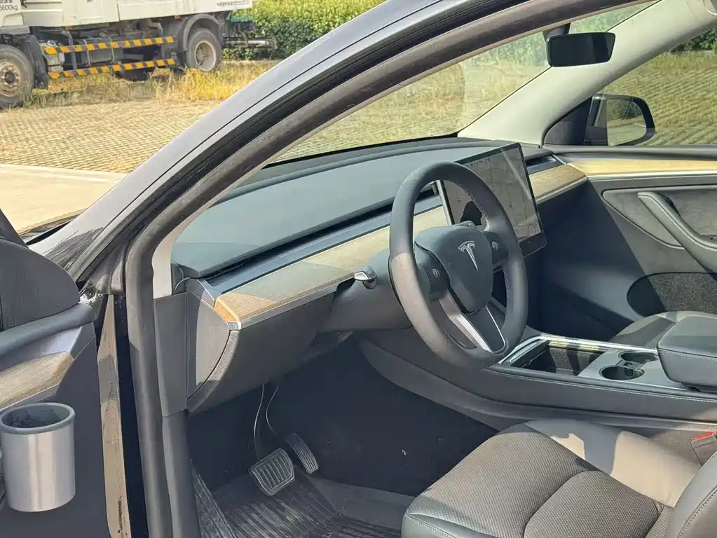 Tesla Model Y — фото 9