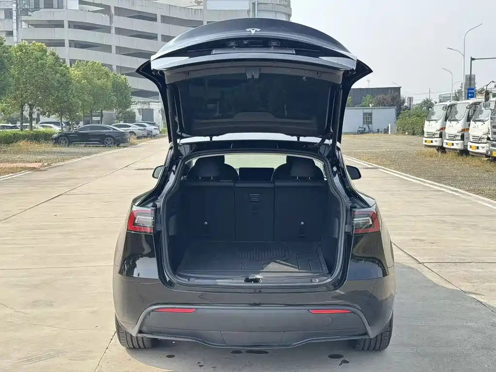 Tesla Model Y — фото 10
