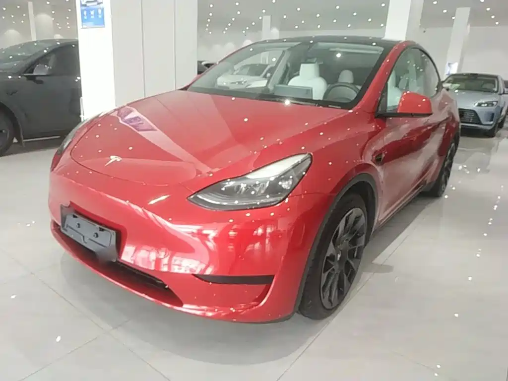 Tesla Model Y — фото 2