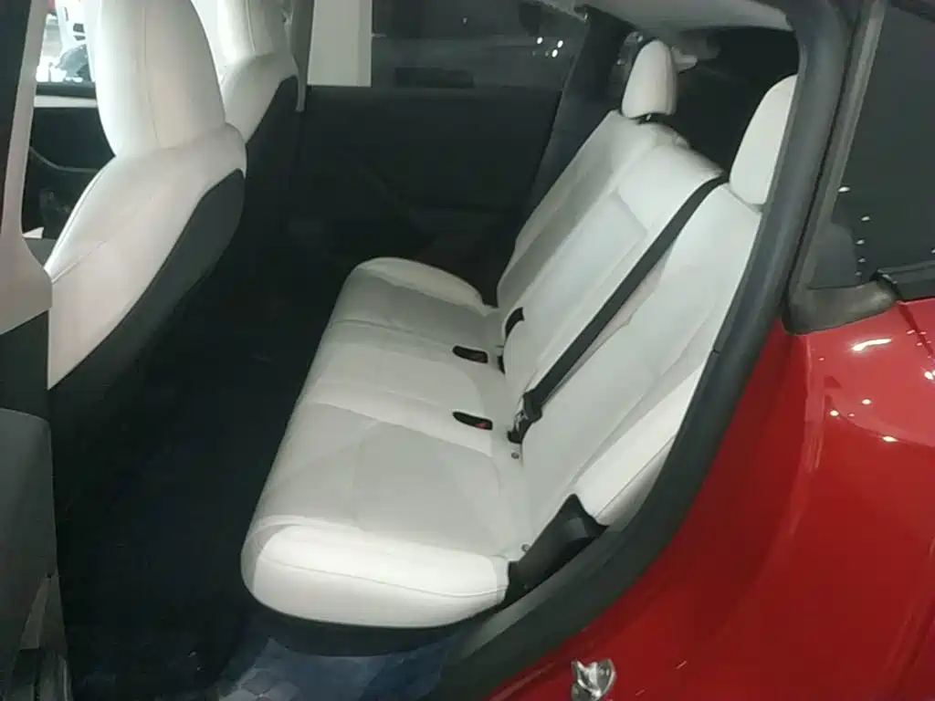 Tesla Model Y — фото 13