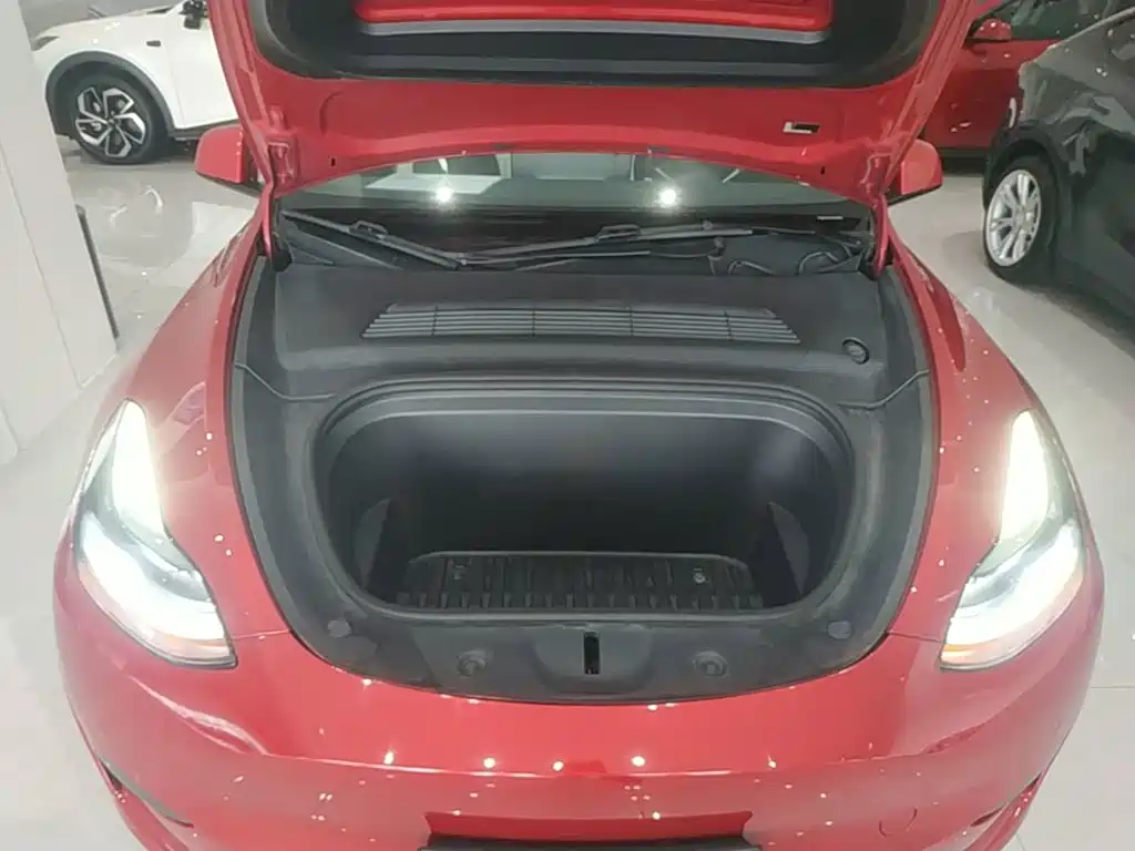Tesla Model Y — фото 16