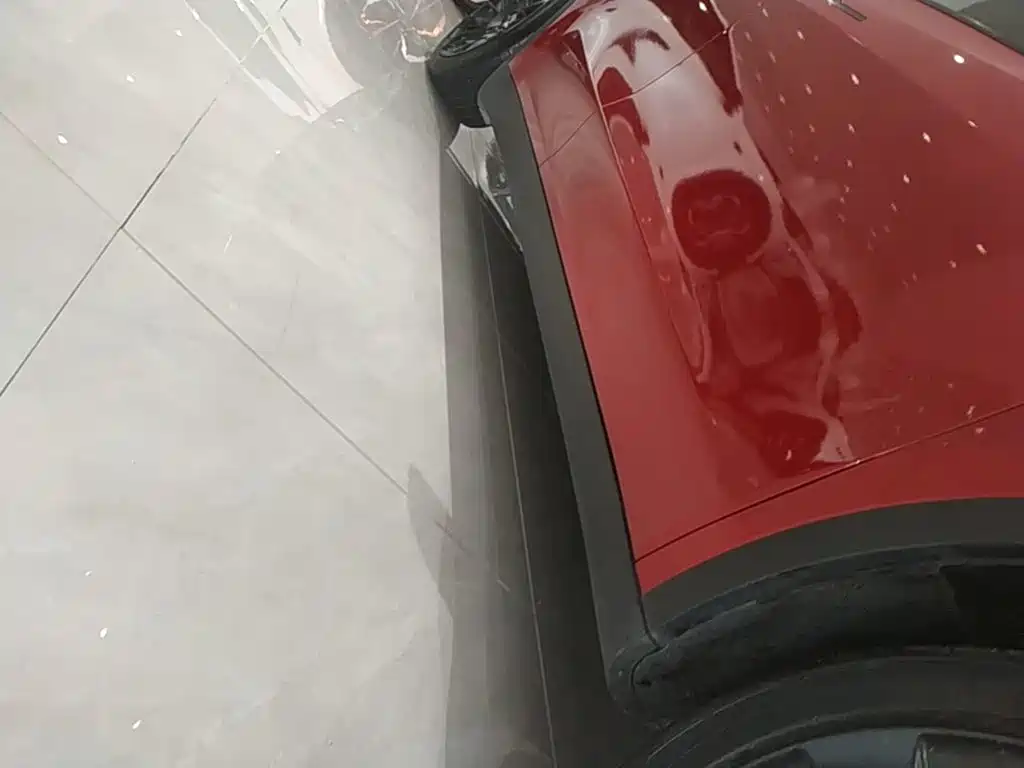 Tesla Model Y — фото 19