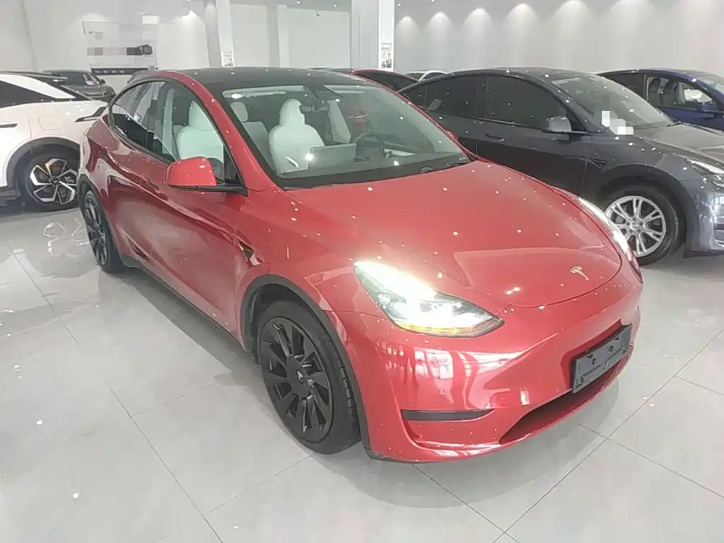 Tesla Model Y — фото 22