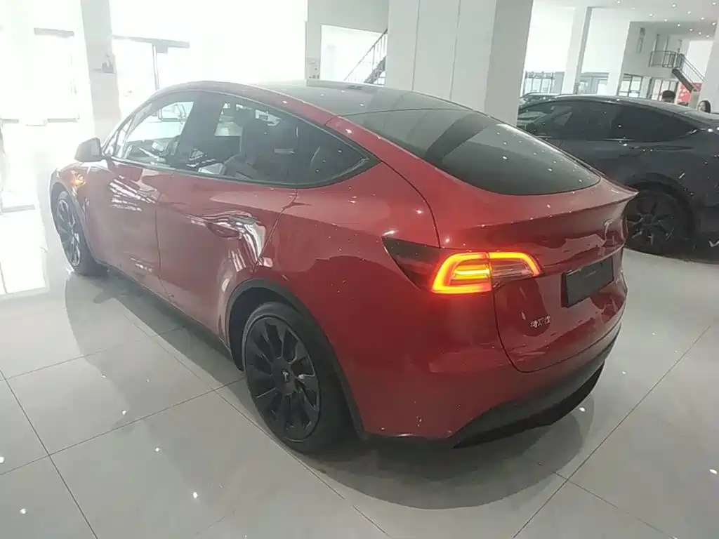 Tesla Model Y — фото 23