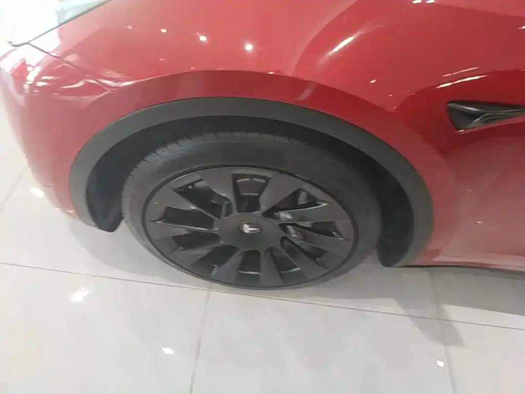 Tesla Model Y — фото 25