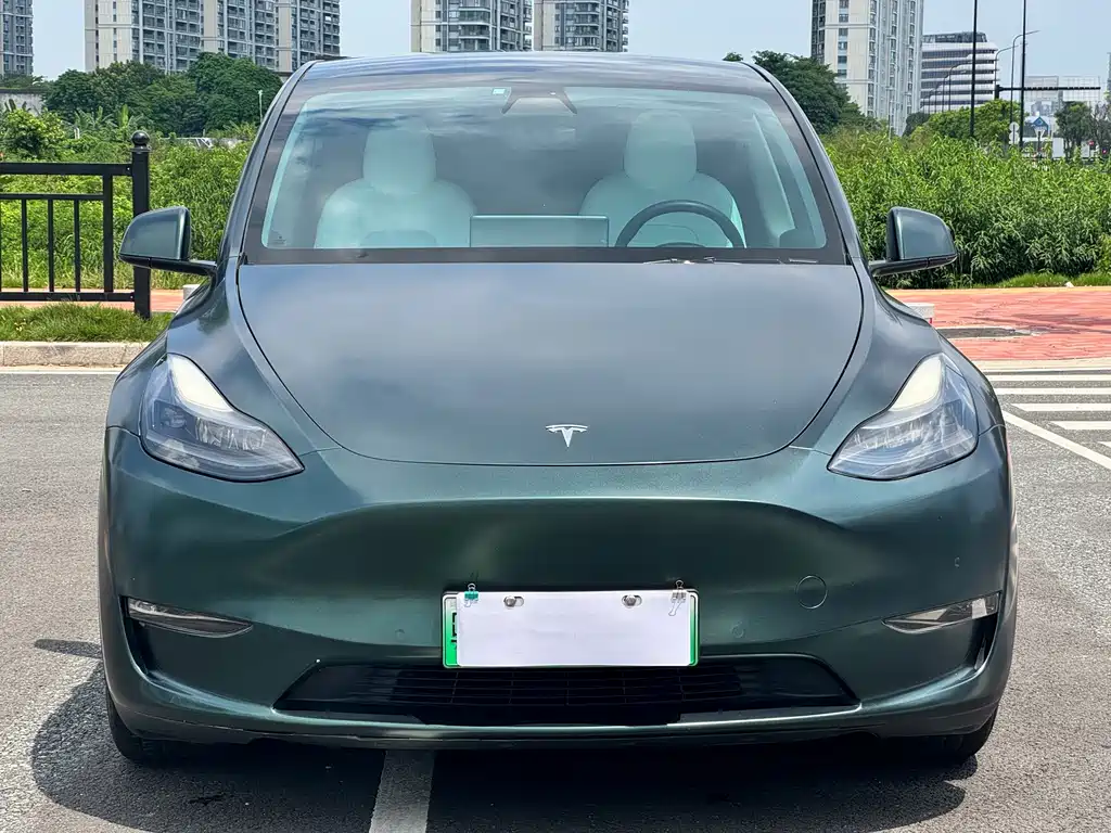 Tesla Model Y — фото 2