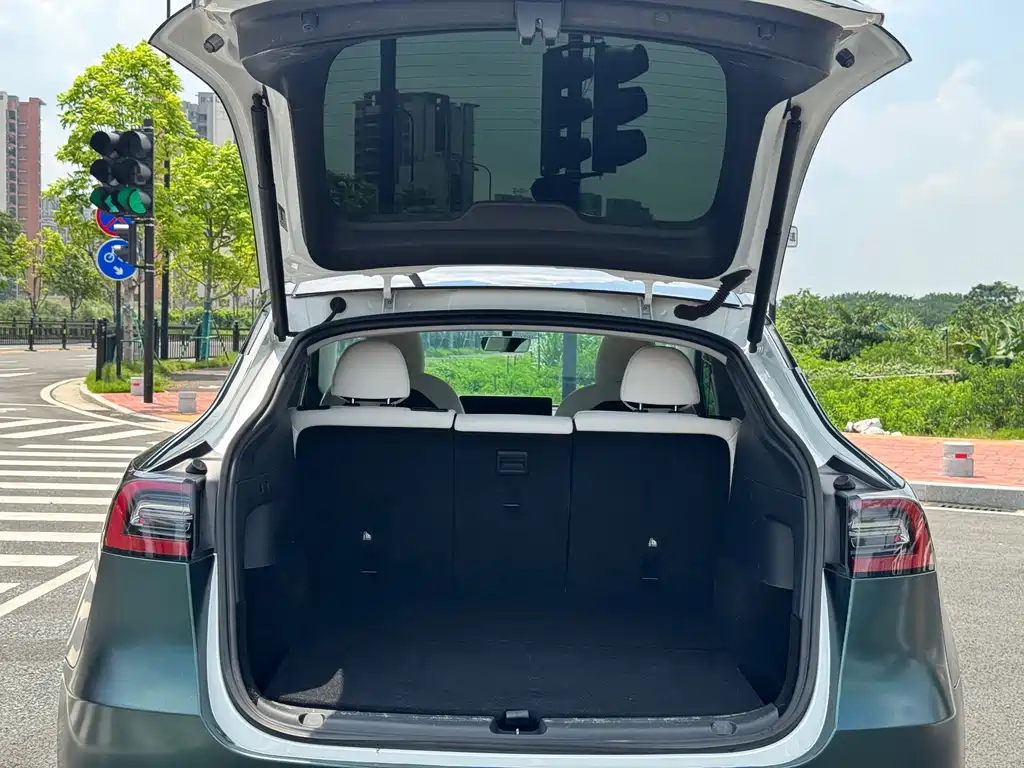Tesla Model Y — фото 12